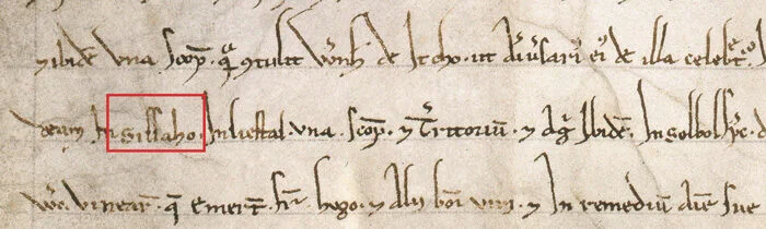 Dokument 800 Joor Sissech